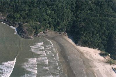 Praia do Canto ou Cost�o